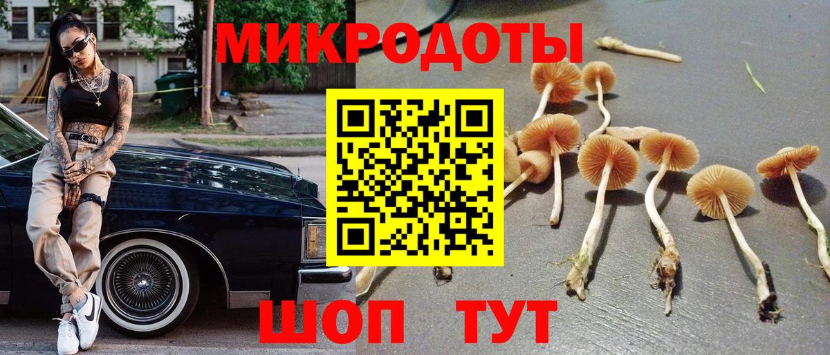 Галлюциногенные грибы Magic Shrooms  магазин продажи наркотиков  Михайловск  Вход с VPN  Псилоцибиновые грибы прущие грибы 